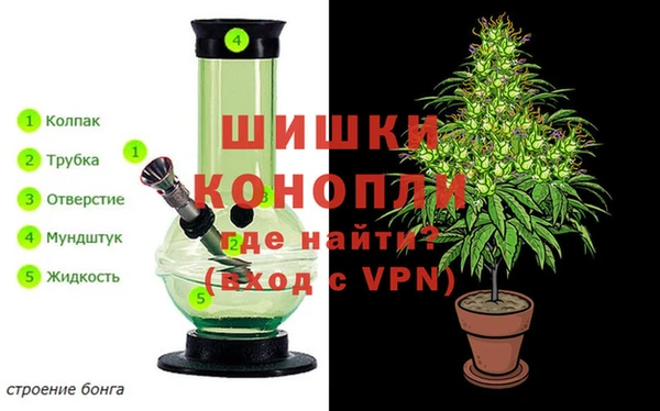 прущие крисы Ветлуга