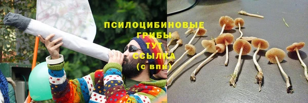 марки nbome Новозыбков