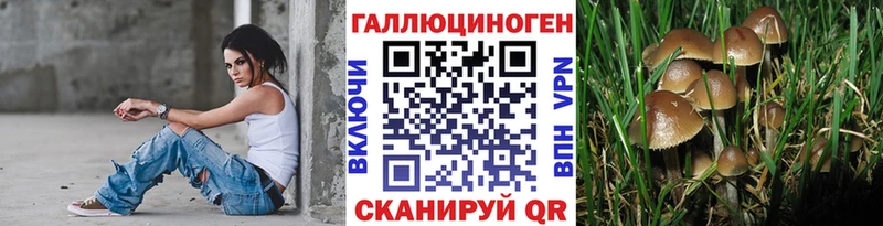 Псилоцибиновые грибы Psilocybine cubensis  наркошоп  Подпорожье 