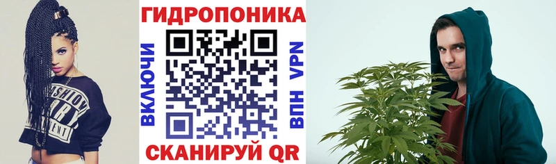 Канабис семена  Подпорожье 